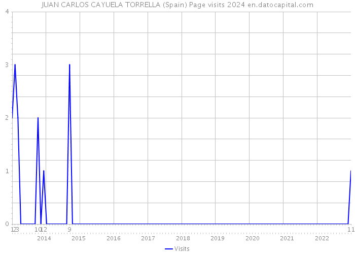 JUAN CARLOS CAYUELA TORRELLA (Spain) Page visits 2024 