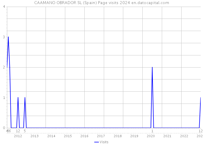 CAAMANO OBRADOR SL (Spain) Page visits 2024 