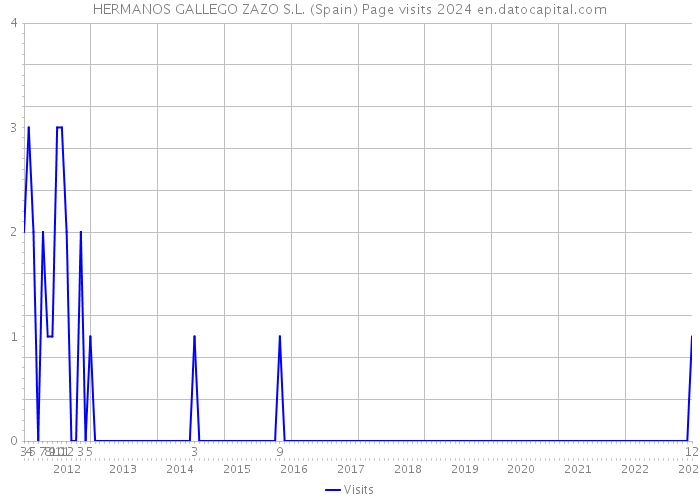 HERMANOS GALLEGO ZAZO S.L. (Spain) Page visits 2024 