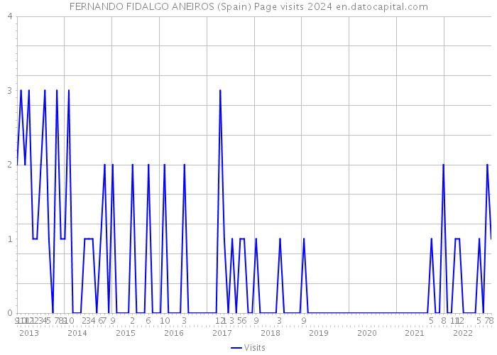 FERNANDO FIDALGO ANEIROS (Spain) Page visits 2024 