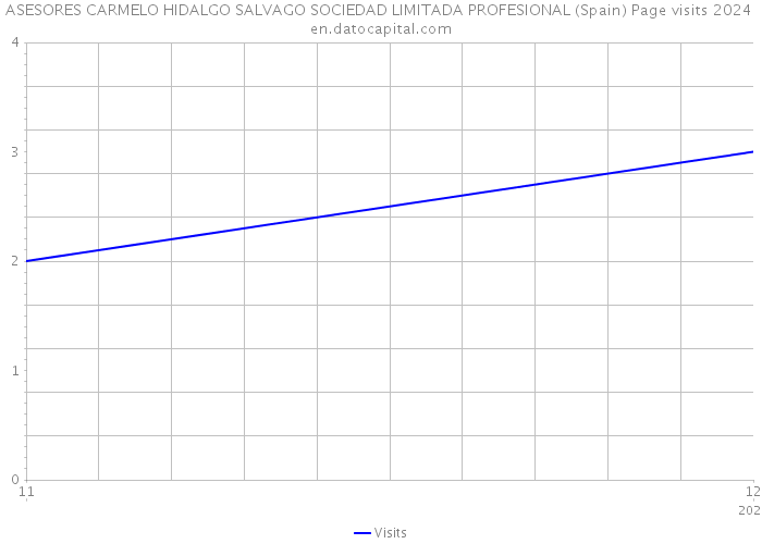 ASESORES CARMELO HIDALGO SALVAGO SOCIEDAD LIMITADA PROFESIONAL (Spain) Page visits 2024 