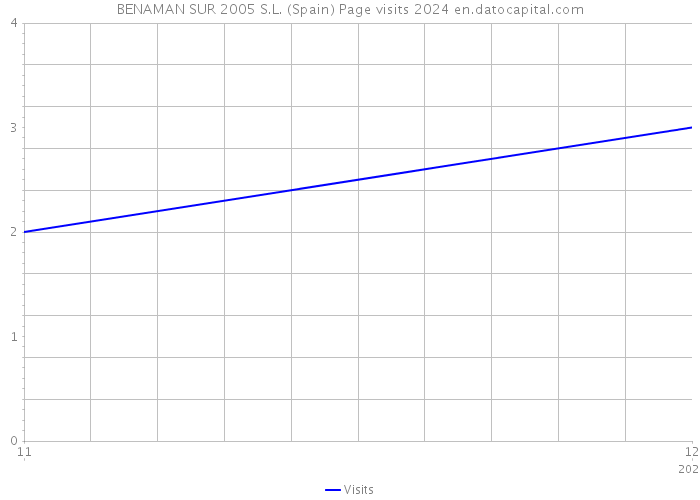 BENAMAN SUR 2005 S.L. (Spain) Page visits 2024 