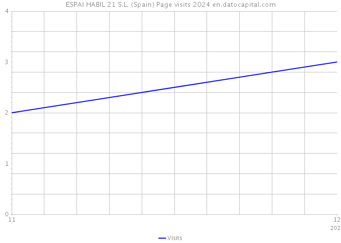 ESPAI HABIL 21 S.L. (Spain) Page visits 2024 