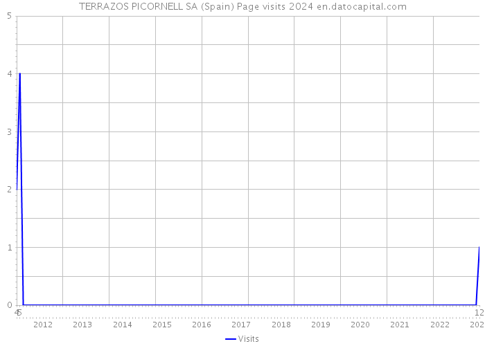 TERRAZOS PICORNELL SA (Spain) Page visits 2024 