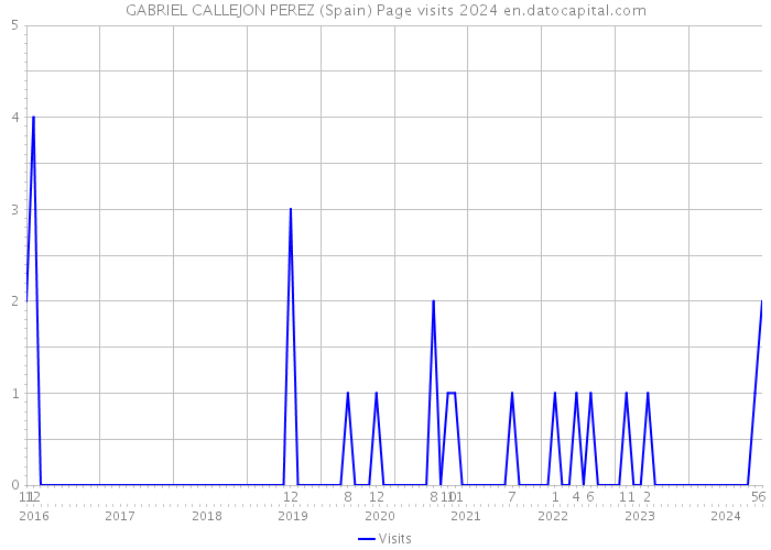 GABRIEL CALLEJON PEREZ (Spain) Page visits 2024 