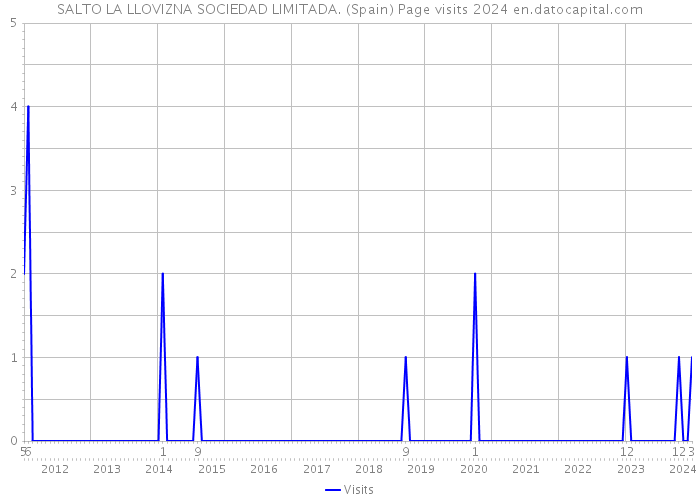 SALTO LA LLOVIZNA SOCIEDAD LIMITADA. (Spain) Page visits 2024 
