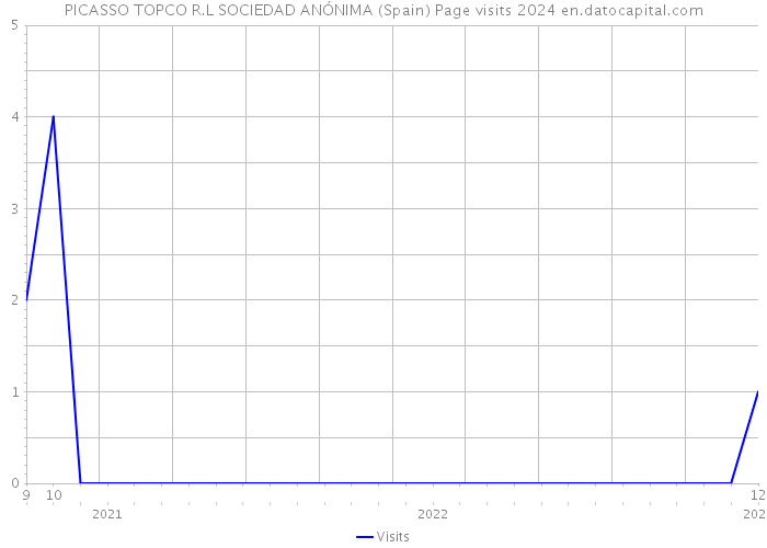 PICASSO TOPCO R.L SOCIEDAD ANÓNIMA (Spain) Page visits 2024 