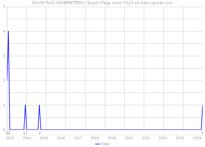 DAVID RUIZ SANEMETERIO (Spain) Page visits 2024 