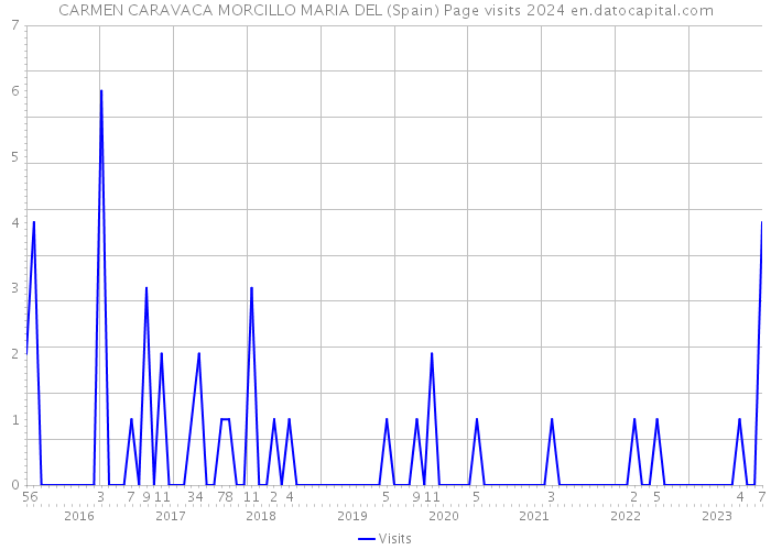 CARMEN CARAVACA MORCILLO MARIA DEL (Spain) Page visits 2024 