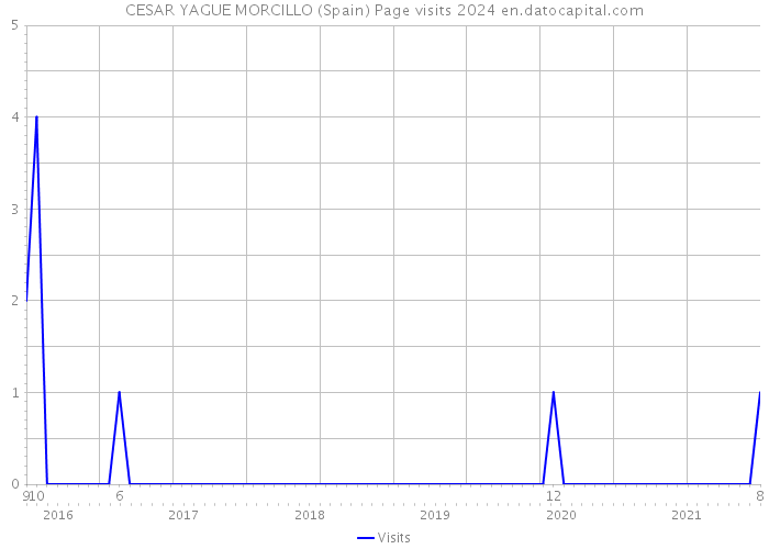 CESAR YAGUE MORCILLO (Spain) Page visits 2024 