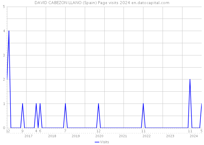 DAVID CABEZON LLANO (Spain) Page visits 2024 