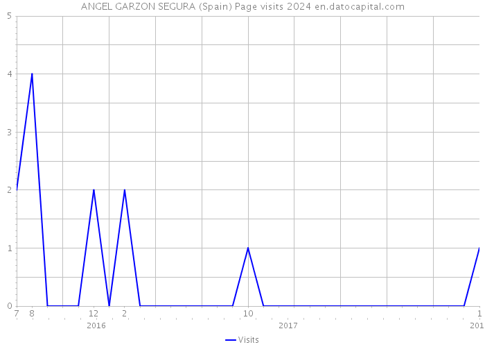 ANGEL GARZON SEGURA (Spain) Page visits 2024 