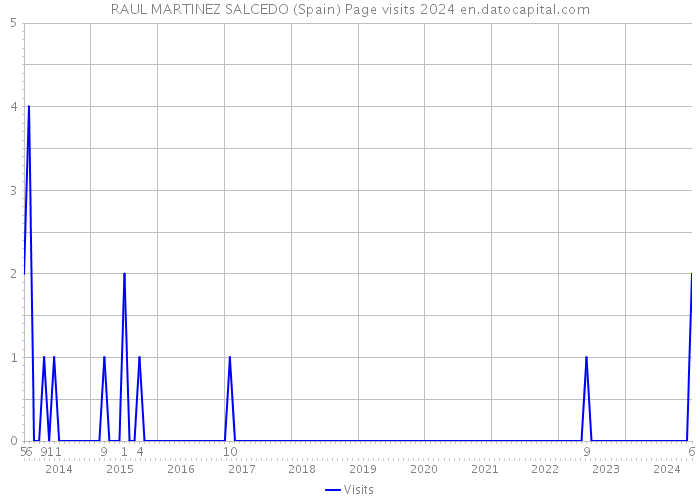 RAUL MARTINEZ SALCEDO (Spain) Page visits 2024 