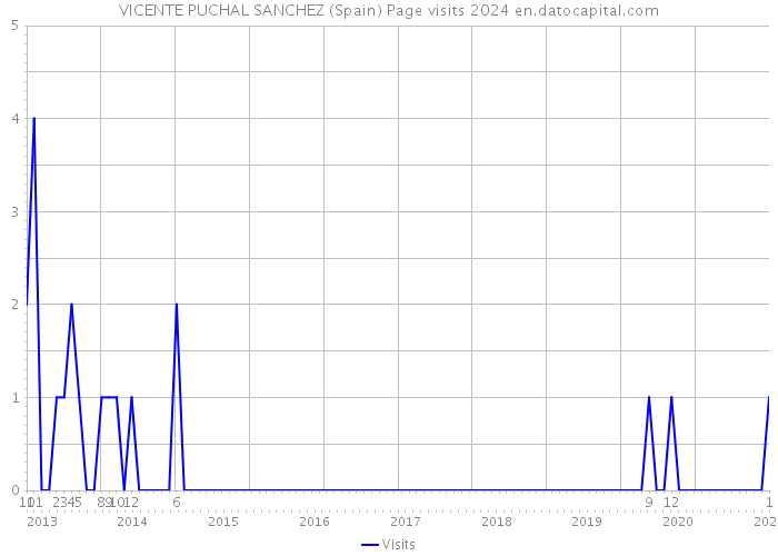 VICENTE PUCHAL SANCHEZ (Spain) Page visits 2024 