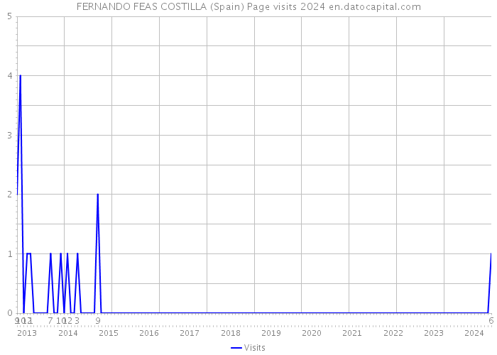 FERNANDO FEAS COSTILLA (Spain) Page visits 2024 