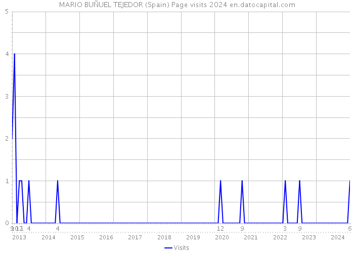 MARIO BUÑUEL TEJEDOR (Spain) Page visits 2024 