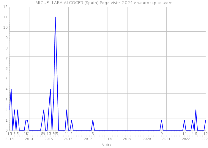 MIGUEL LARA ALCOCER (Spain) Page visits 2024 