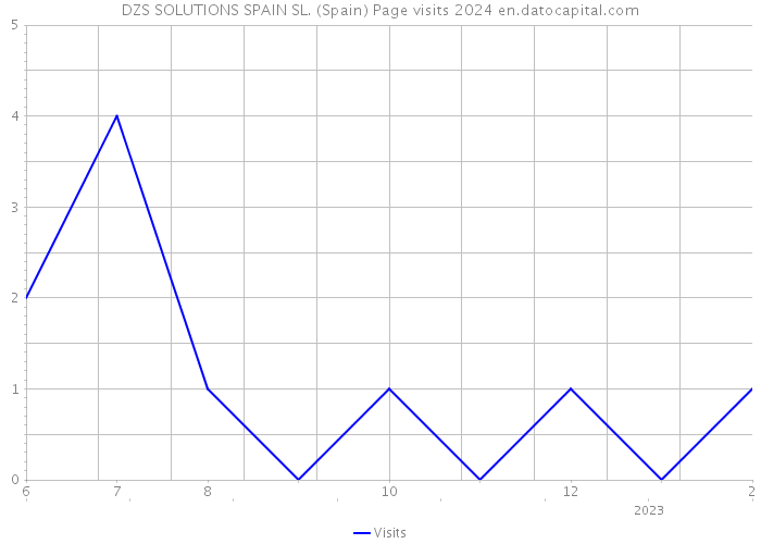 DZS SOLUTIONS SPAIN SL. (Spain) Page visits 2024 