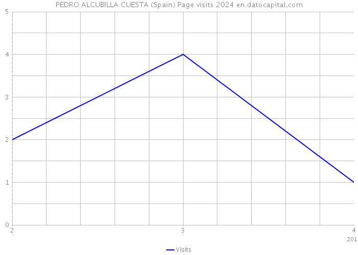 PEDRO ALCUBILLA CUESTA (Spain) Page visits 2024 