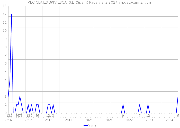 RECICLAJES BRIVIESCA, S.L. (Spain) Page visits 2024 