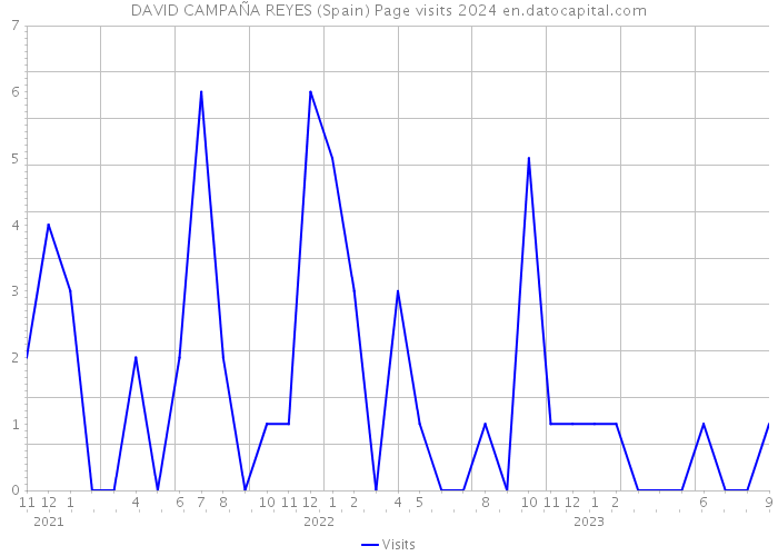 DAVID CAMPAÑA REYES (Spain) Page visits 2024 