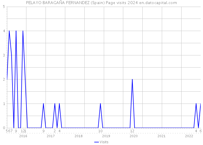 PELAYO BARAGAÑA FERNANDEZ (Spain) Page visits 2024 