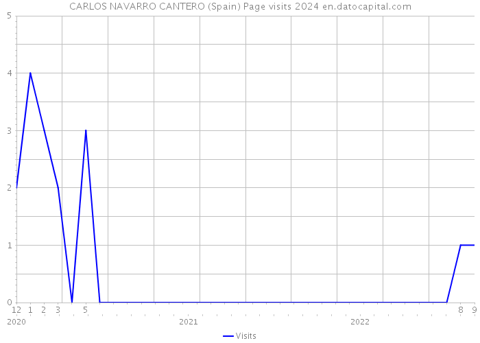 CARLOS NAVARRO CANTERO (Spain) Page visits 2024 