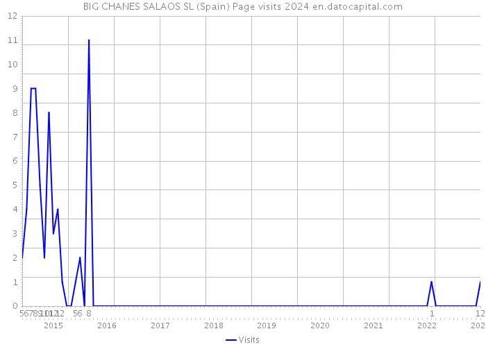 BIG CHANES SALAOS SL (Spain) Page visits 2024 