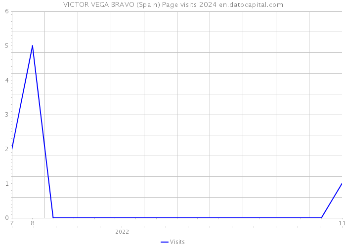 VICTOR VEGA BRAVO (Spain) Page visits 2024 