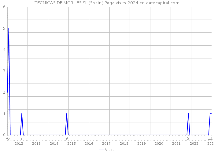 TECNICAS DE MORILES SL (Spain) Page visits 2024 