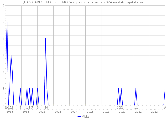 JUAN CARLOS BECERRIL MORA (Spain) Page visits 2024 