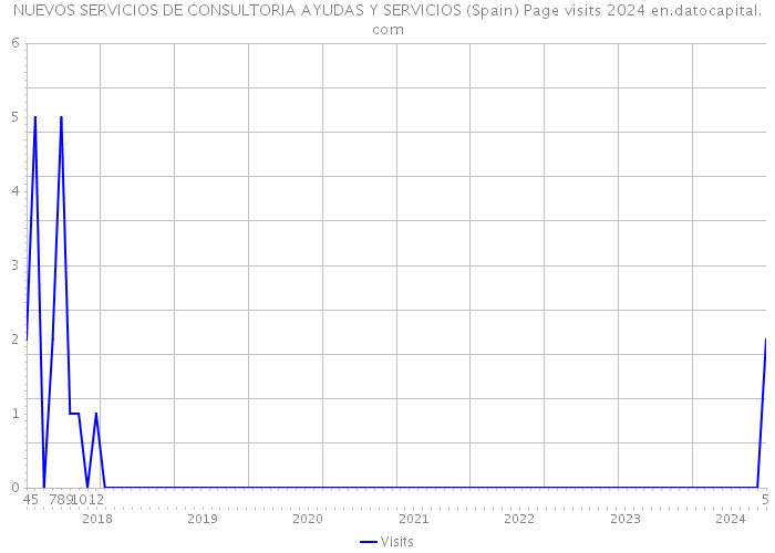 NUEVOS SERVICIOS DE CONSULTORIA AYUDAS Y SERVICIOS (Spain) Page visits 2024 