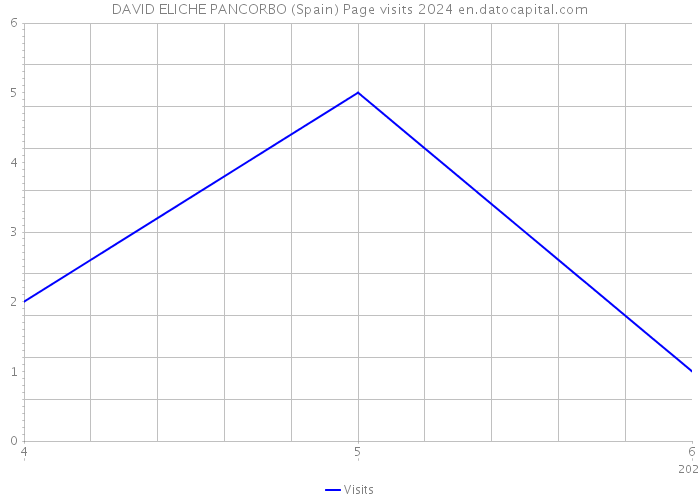 DAVID ELICHE PANCORBO (Spain) Page visits 2024 