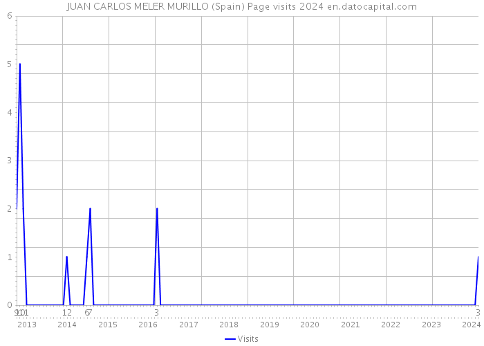 JUAN CARLOS MELER MURILLO (Spain) Page visits 2024 