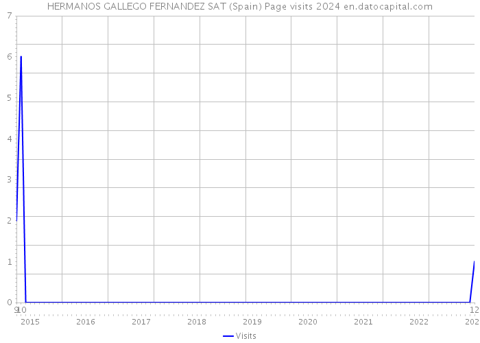 HERMANOS GALLEGO FERNANDEZ SAT (Spain) Page visits 2024 