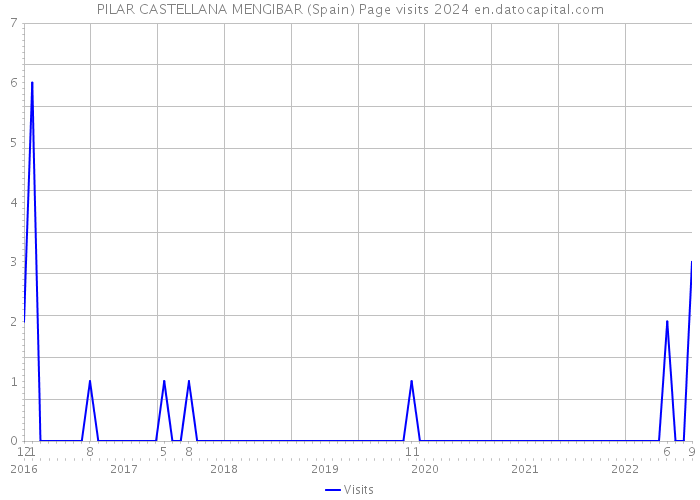 PILAR CASTELLANA MENGIBAR (Spain) Page visits 2024 