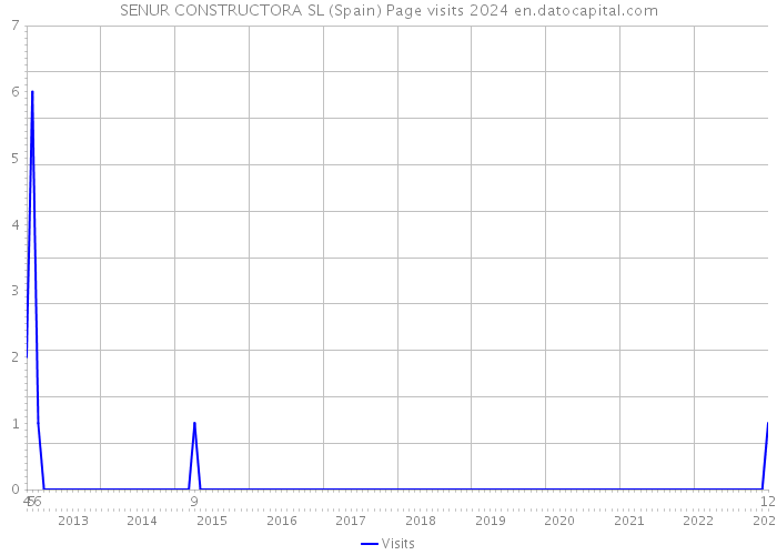 SENUR CONSTRUCTORA SL (Spain) Page visits 2024 