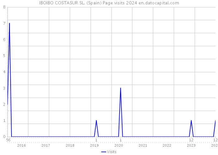 IBOIBO COSTASUR SL. (Spain) Page visits 2024 