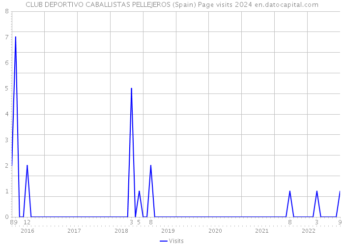 CLUB DEPORTIVO CABALLISTAS PELLEJEROS (Spain) Page visits 2024 