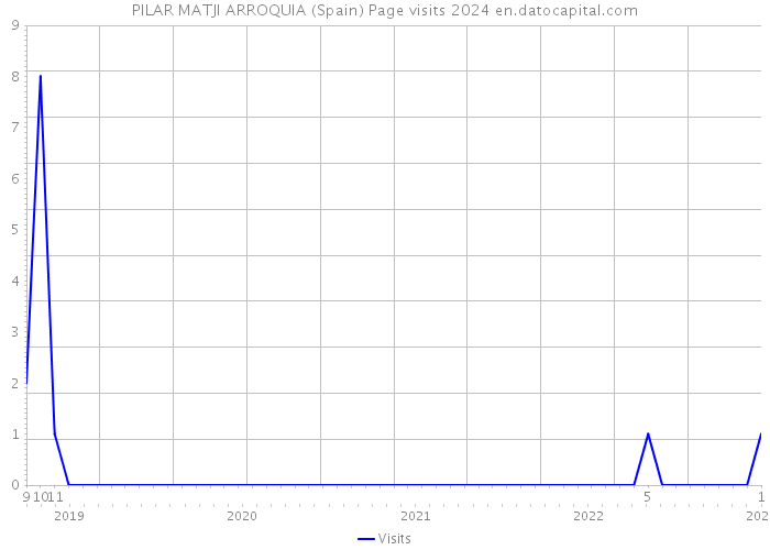 PILAR MATJI ARROQUIA (Spain) Page visits 2024 