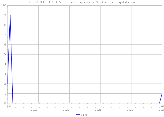 CRUZ DEL PUENTE S.L. (Spain) Page visits 2024 