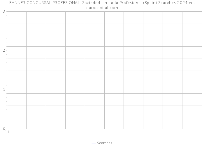 BANNER CONCURSAL PROFESIONAL Sociedad Limitada Profesional (Spain) Searches 2024 