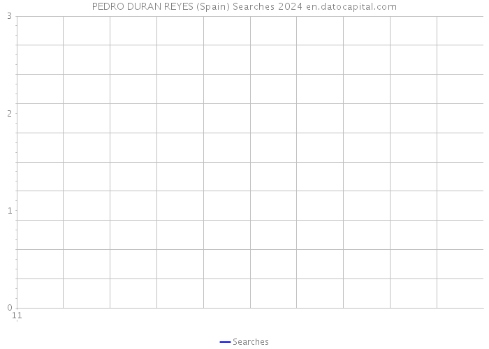 PEDRO DURAN REYES (Spain) Searches 2024 