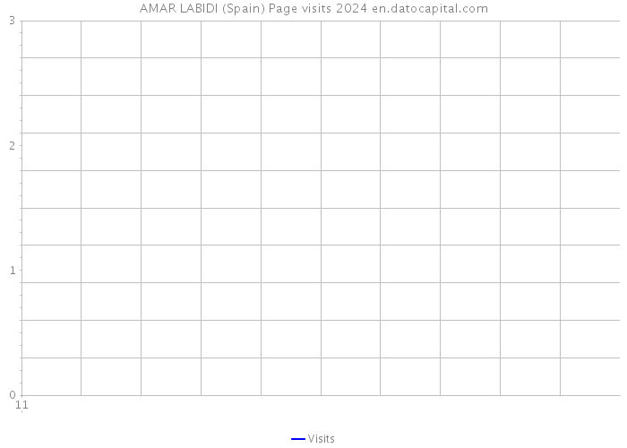 AMAR LABIDI (Spain) Page visits 2024 