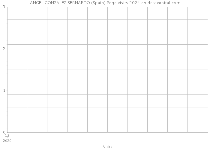 ANGEL GONZALEZ BERNARDO (Spain) Page visits 2024 