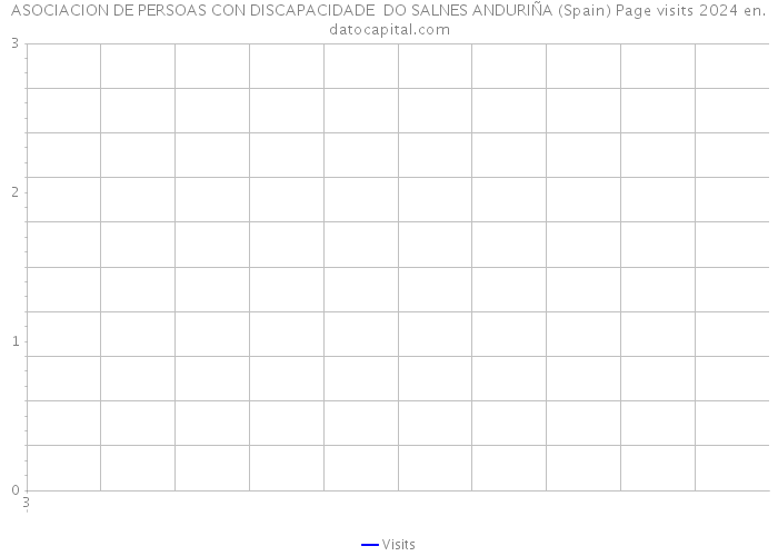 ASOCIACION DE PERSOAS CON DISCAPACIDADE DO SALNES ANDURIÑA (Spain) Page visits 2024 