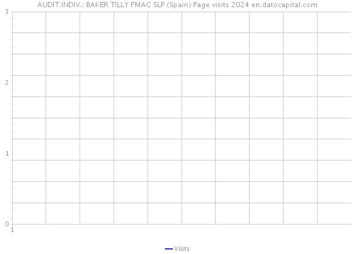 AUDIT.INDIV.: BAKER TILLY FMAC SLP (Spain) Page visits 2024 