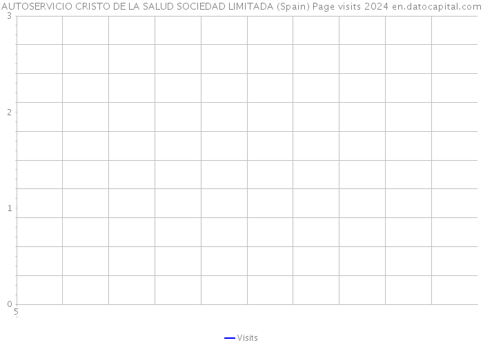 AUTOSERVICIO CRISTO DE LA SALUD SOCIEDAD LIMITADA (Spain) Page visits 2024 