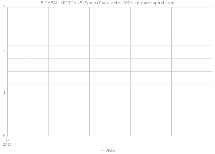 BIDAEAU MORGANE (Spain) Page visits 2024 