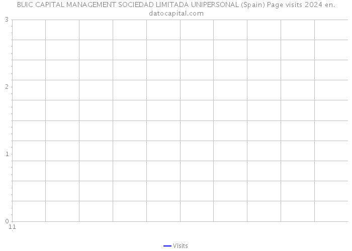 BUIC CAPITAL MANAGEMENT SOCIEDAD LIMITADA UNIPERSONAL (Spain) Page visits 2024 